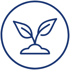 A line icon of a plant in a circle.